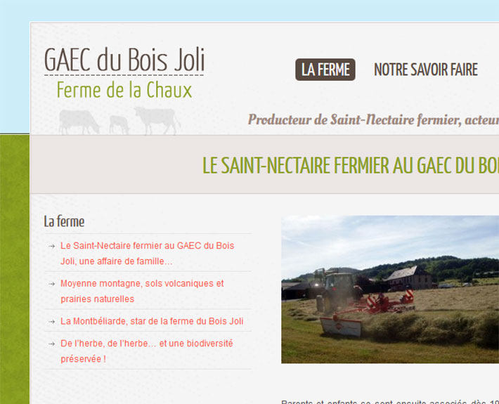 GAEC du Bois Joli - Producteur de Saint-Nectaire fermier